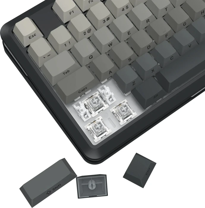 Redragon Wildslash Pro K734SP