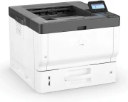 RICOH P501