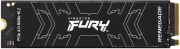 Kingston Fury Renegade 500GB
