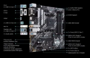 ASUS Prime B550M-A WIFI II