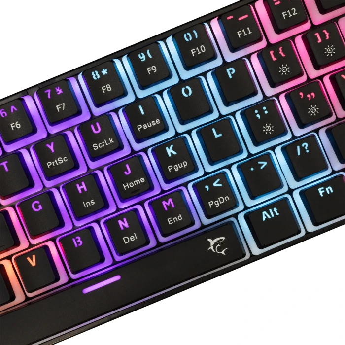 White Shark ASHIKO 2 Clicky - Black