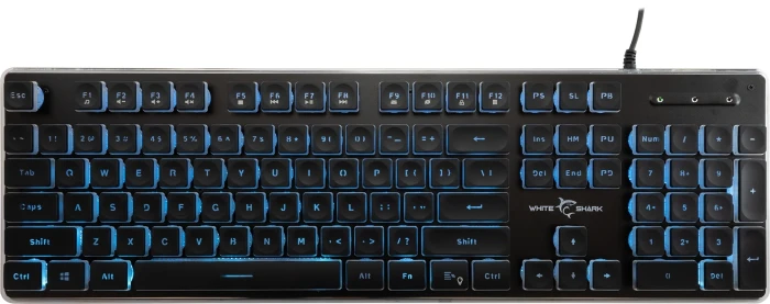 White Shark TACHI - Black