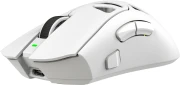 White Shark Wireless MORIEN - White
