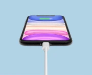 XIAOMI Mi USB-C > Lightning Apple - 1.0m