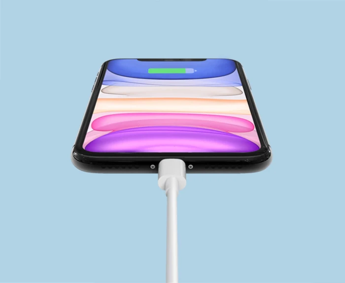 XIAOMI Mi USB-C > Lightning Apple - 1.0m