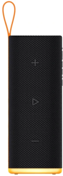 Xiaomi Sound Play 18W - Black